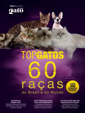Cover of Pulo do gato