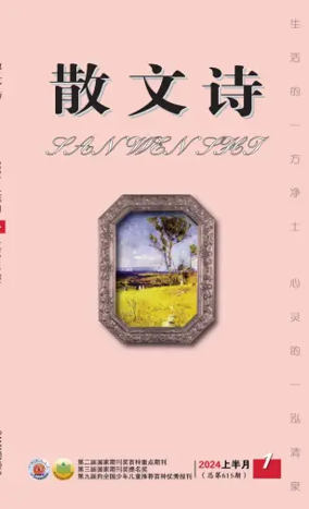 Cover of San Wen Shi