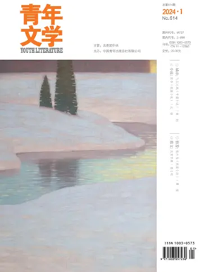 Cover of Youth Literature