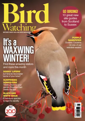 Cover of Bird Watching (UK)