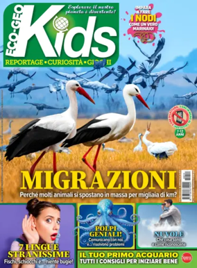 Cover of Eco-Geo Kids