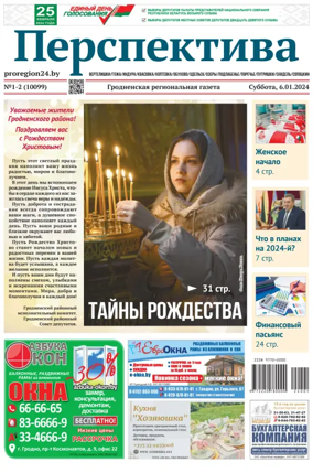 Cover of Perspektiva