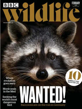 Cover of BBC Wildlife Magazine