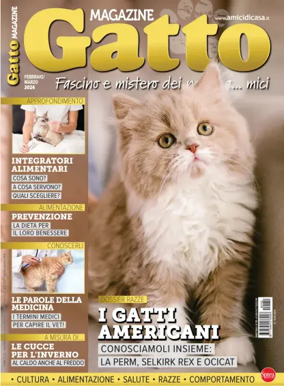 Cover of Gatto Magazine