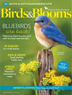 Cover of Birds and Blooms