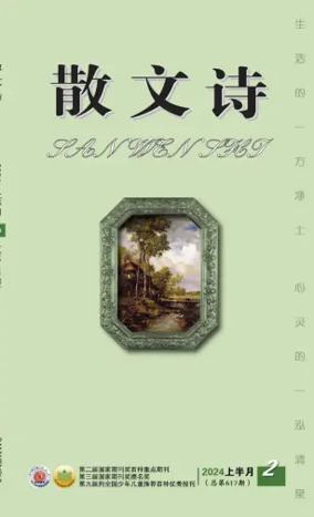 Cover of San Wen Shi