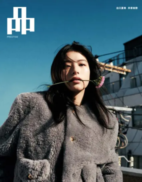 Cover of PIN Prestige (Singapore)