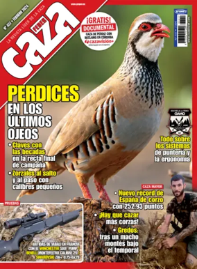 Cover of Federcaza