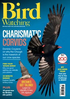 Cover of Bird Watching (UK)