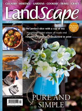 Cover of Landscape (UK)