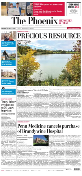 Cover of The Phoenix