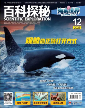 Cover of Scientific Exploration (Undersea World)