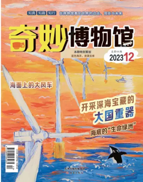 Cover of Qimiao Museum