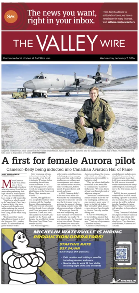 Cover of The Valley Wire