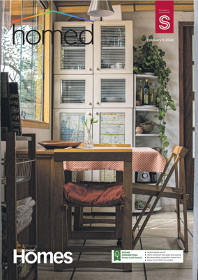 Cover of Southern Homes