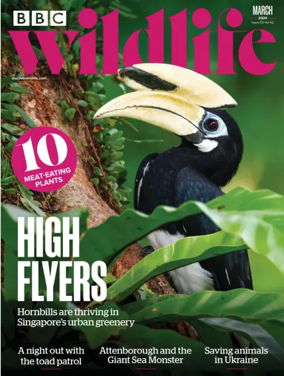Cover of BBC Wildlife Magazine