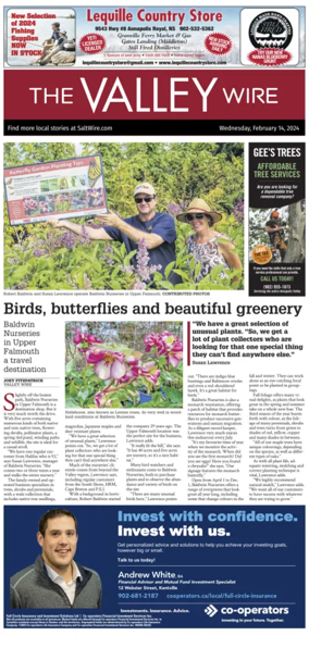 Cover of The Valley Wire