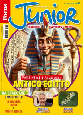 Cover of Focus Junior