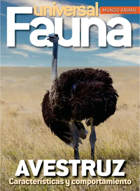 Cover of Fauna universal