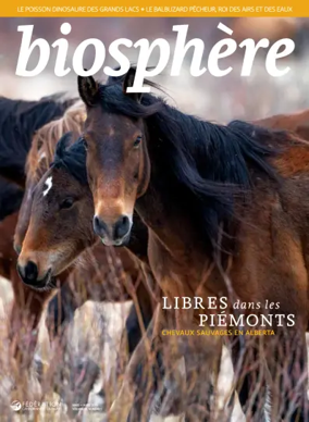 Cover of Biosphere