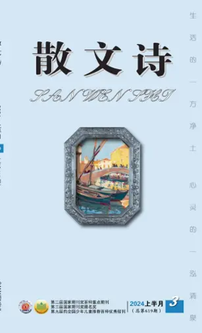 Cover of San Wen Shi