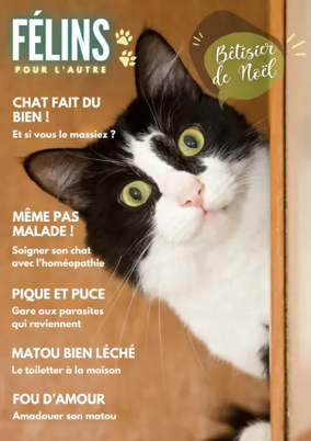 Cover of Félins pour l'autre