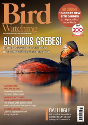 Cover of Bird Watching (UK)