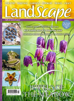 Cover of Landscape (UK)
