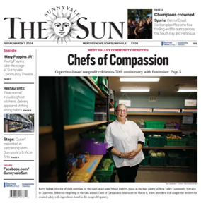 Cover of The Sunnyvale Sun