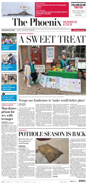 Cover of The Phoenix