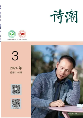 Cover of The Poetic Tide