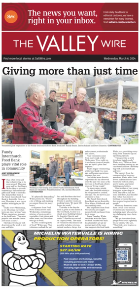 Cover of The Valley Wire