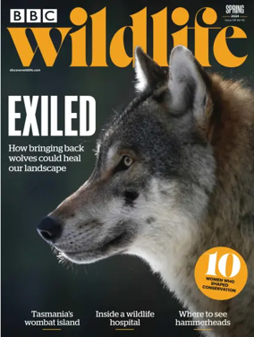 Cover of BBC Wildlife Magazine