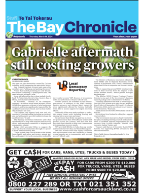Cover of The Bay Chronicle