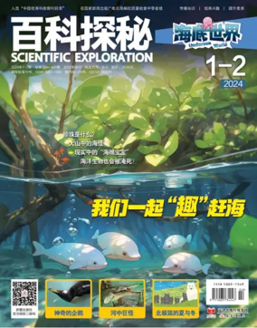 Cover of Scientific Exploration (Undersea World)