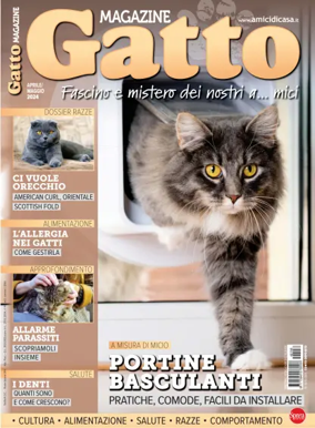 Cover of Gatto Magazine