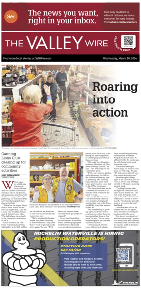 Cover of The Valley Wire