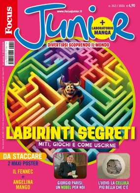 Cover of Focus Junior