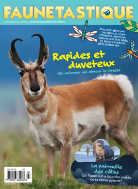 Cover of Faunetastique