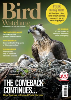 Cover of Bird Watching (UK)