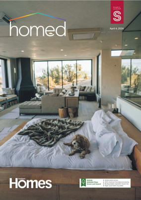 Cover of Southern Homes