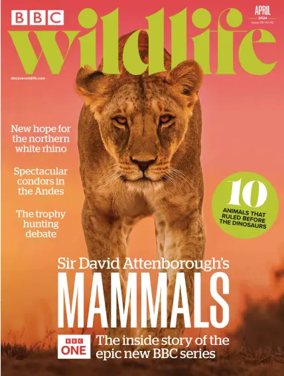 Cover of BBC Wildlife Magazine