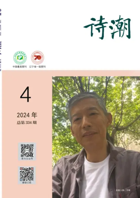 Cover of The Poetic Tide