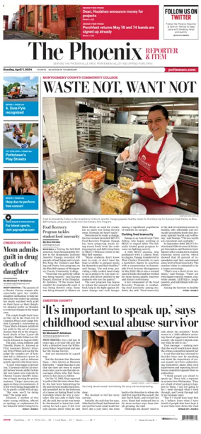 Cover of The Phoenix