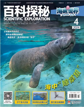 Cover of Scientific Exploration (Undersea World)