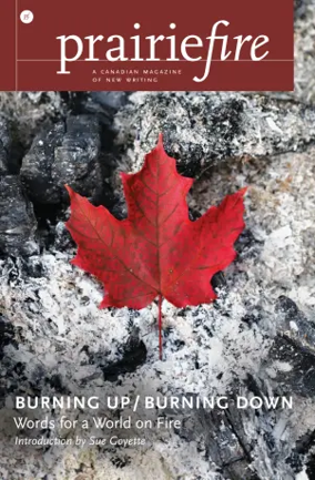 Cover of Prairie Fire