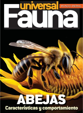 Cover of Fauna universal