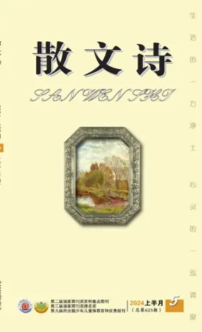 Cover of San Wen Shi