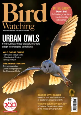 Cover of Bird Watching (UK)