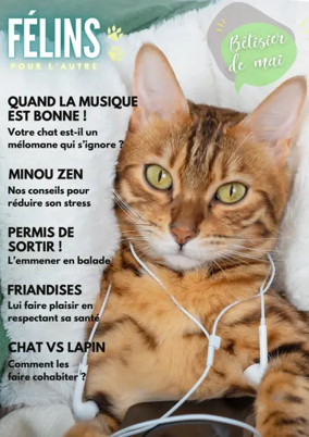Cover of Félins pour l'autre